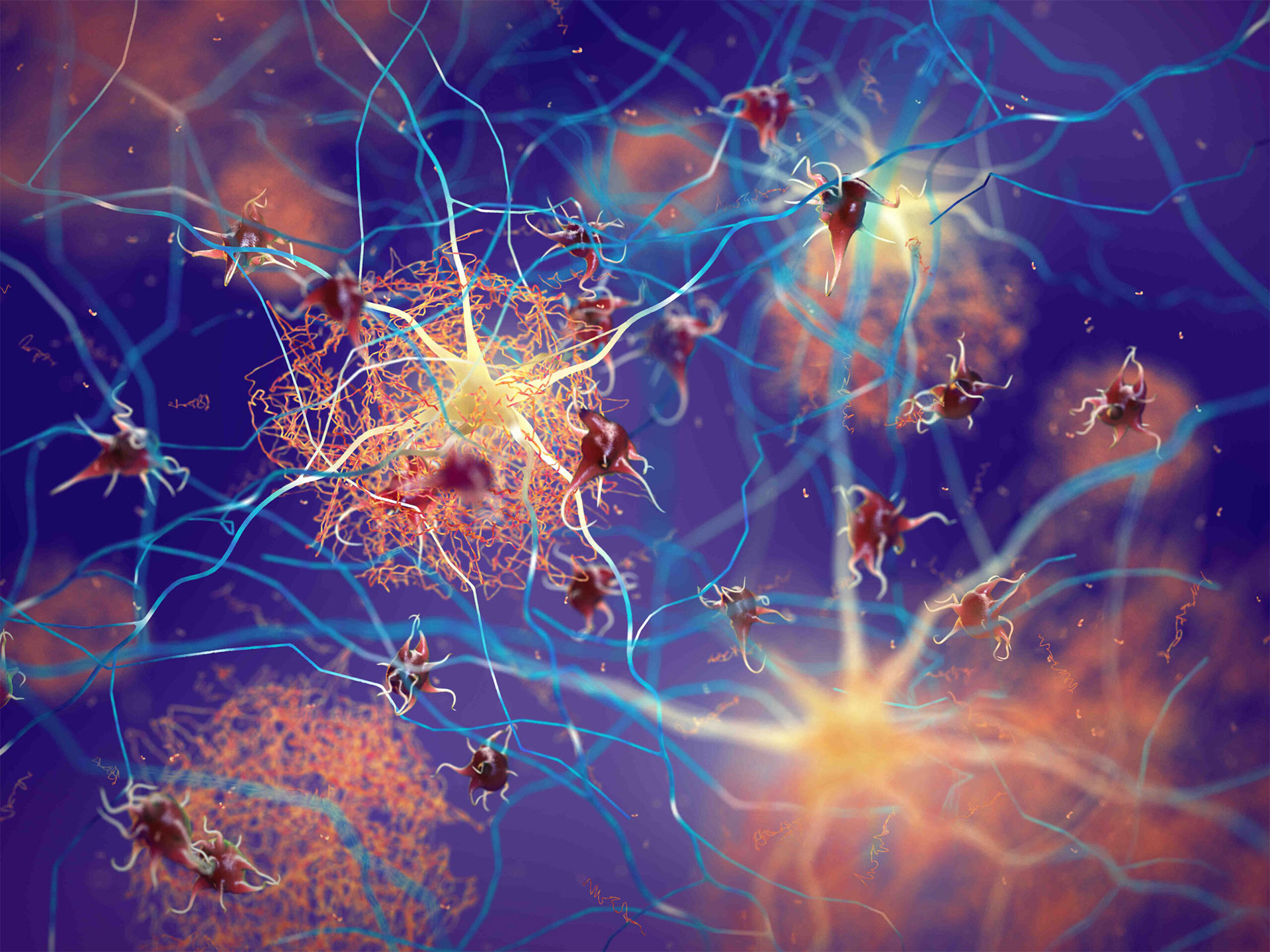 Fastball: il nuovo test che anticipa l’Alzheimer anni prima dei sintomi