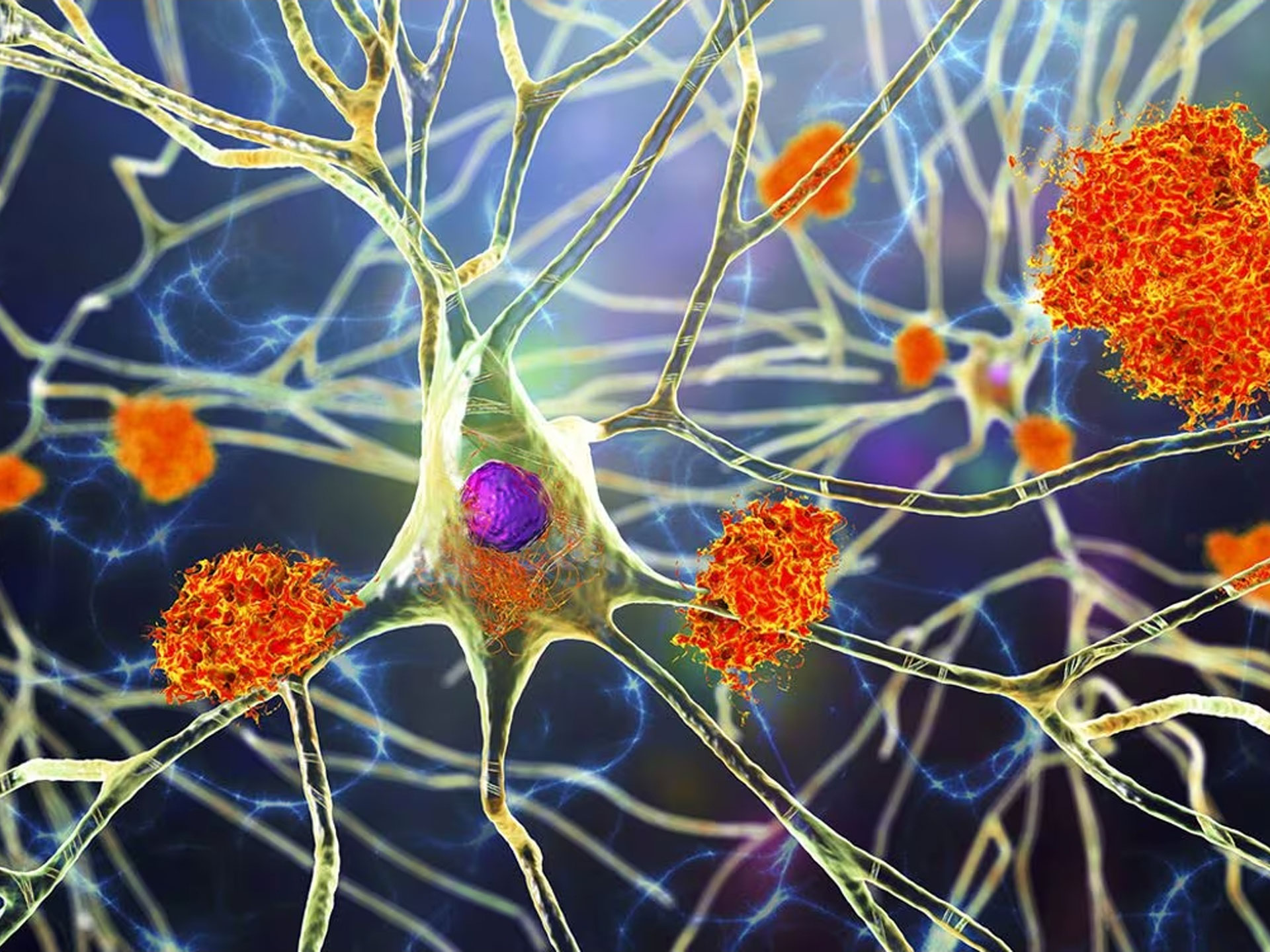 Riparare la barriera del cervello: così i ricercatori hanno invertito l’Alzheimer nei topi