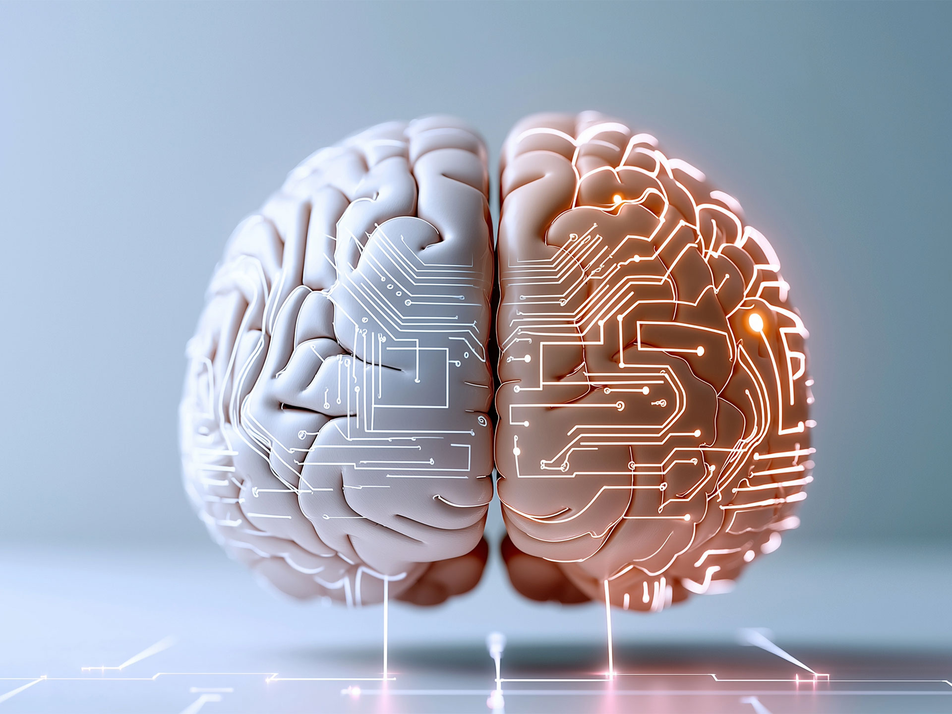 Il cervello degli uomini invecchia in modo diverso da quello delle donne