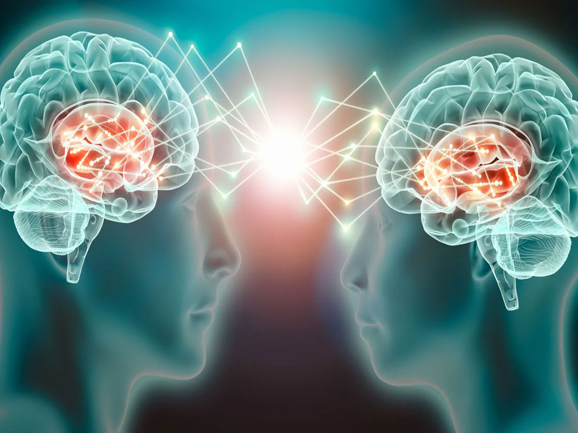 Dai gemelli digitali ai nuovi bersagli per terapie contro Alzheimer e Parkinson: con il progetto Mnesys balzo italiano sulle neuroscienze
