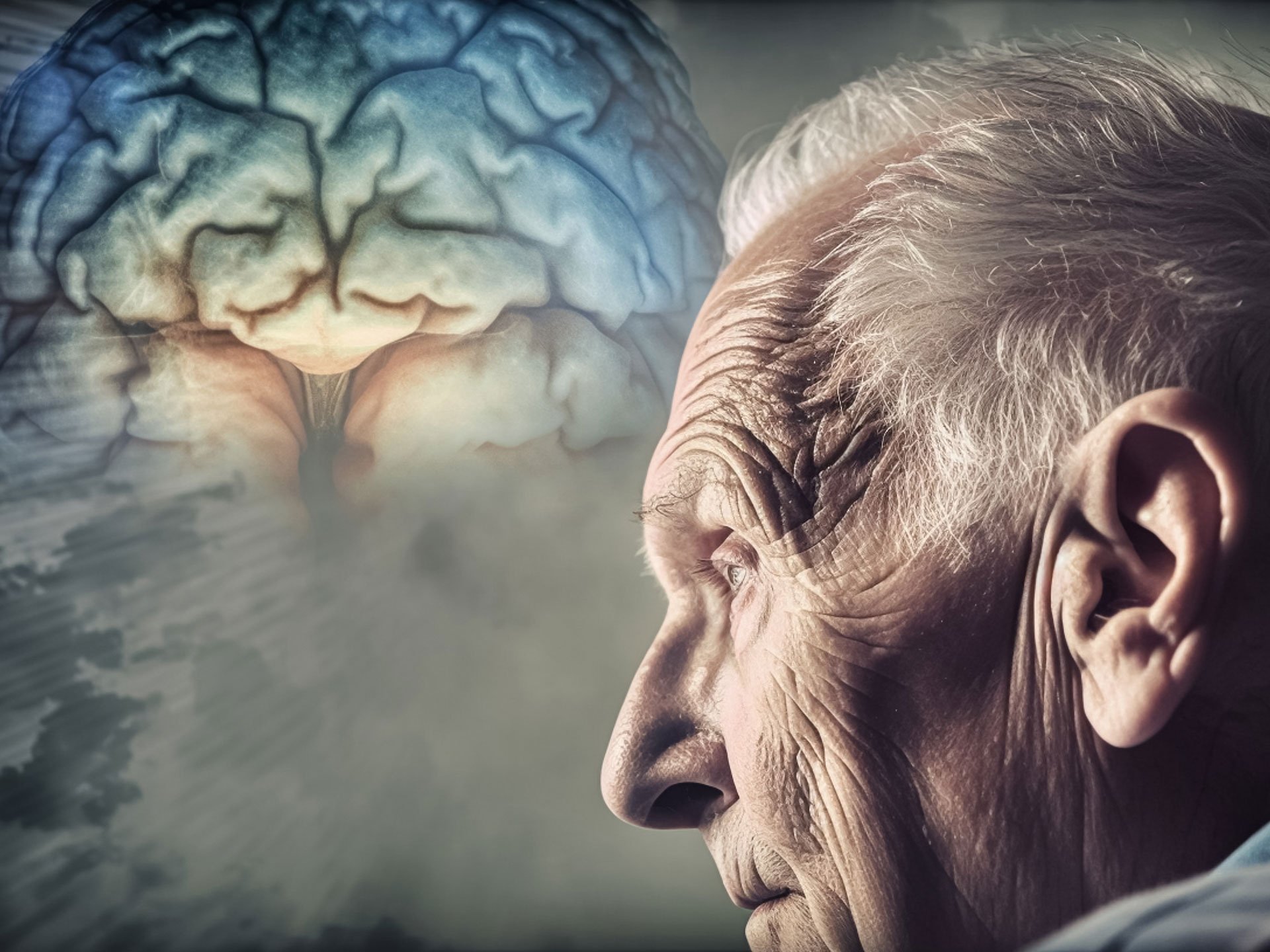 Alzheimer: studio svela come combattere le proteine tossiche