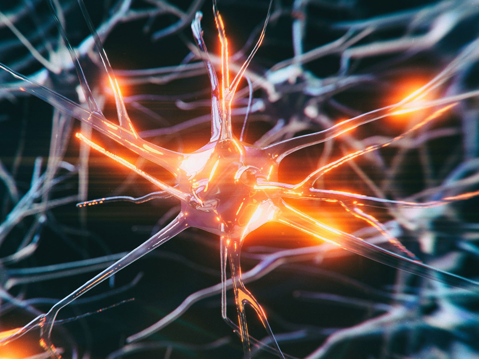 Il Paziente più Giovane con Alzheimer, un caso unico