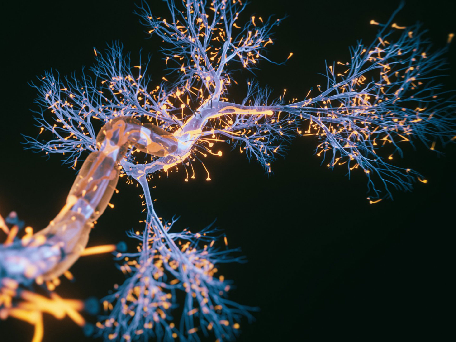 L’Alzheimer non inizia sempre allo stesso modo, esistono quattro strade d’esordio: cambiano sintomi e cure